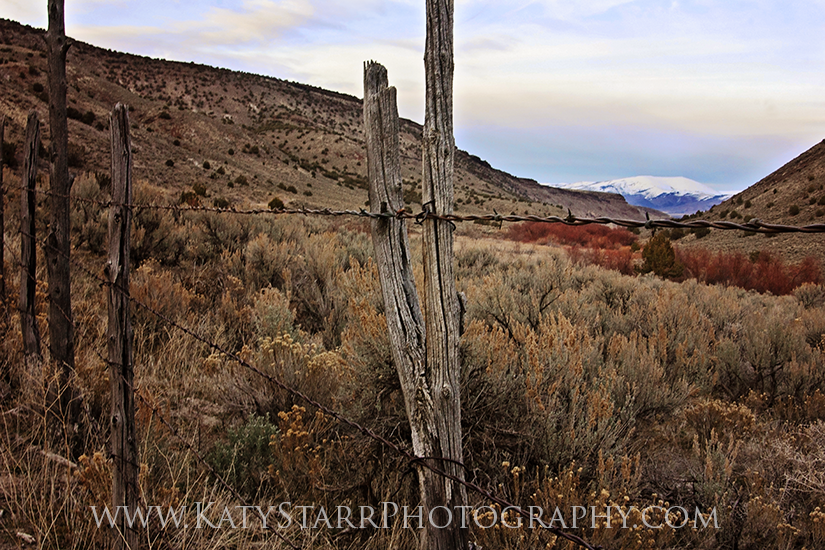 Near Oakley Idaho